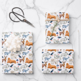 Padrão Ártico Aquarela Animais Polares Foca Morsa