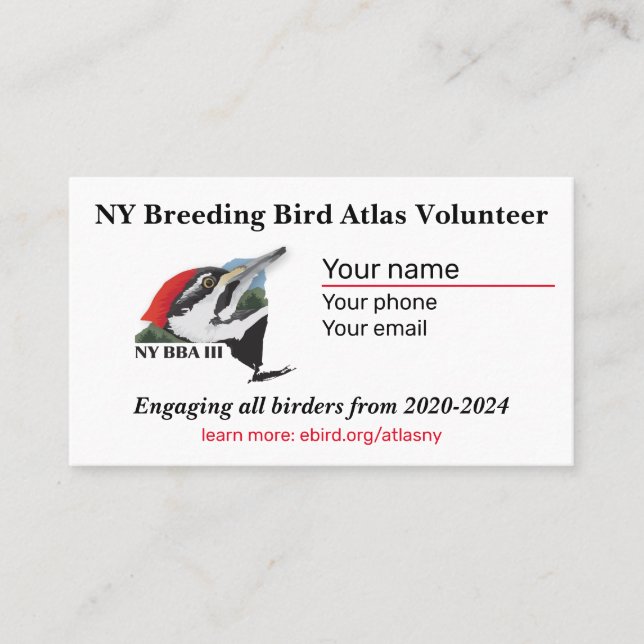 Padrão, Cartão de visita de 3,5" x 2,0" (Frente)