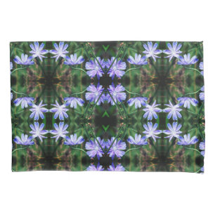 Padrão de Flores de Chicória Selvagem Azul
