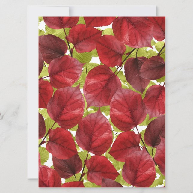 Padrão de Folhas de outono (Frente)