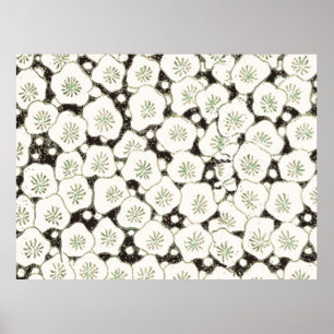 Padrão de Impressão de Arte Asiática de Flor Br