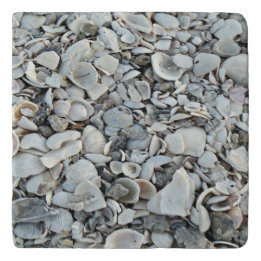 Padrão de Pedra Conchas da Costa