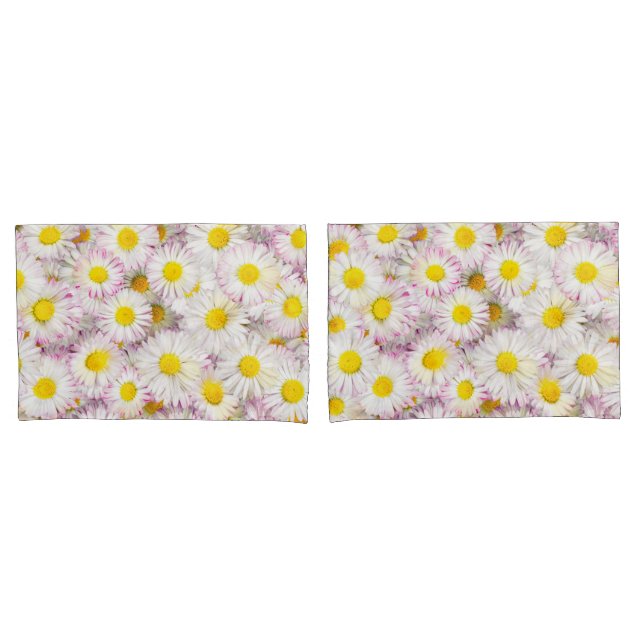 Padrão Rosa Púrpura da Flor da Margarina (Frente - conjunto)