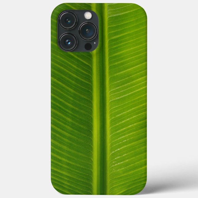 Padrão verde de folha de bananas fresco (Verso)
