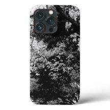 Padrões de Folhas da Floresta Natureza Preto Branc
