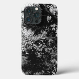 Padrões de Folhas da Floresta Natureza Preto Branc