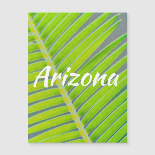 Padrões de Palmas, Arizona (Frente)