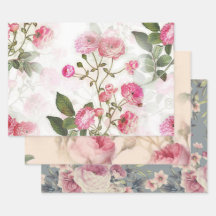 Padrões Florais de Flores e Rosas Rosa