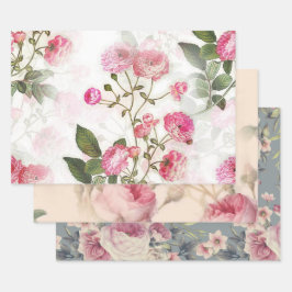 Padrões Florais de Flores e Rosas Rosa