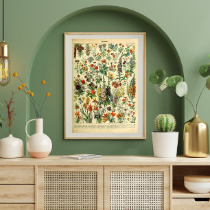 Página Catálogo de Flores Selvagens de poster vint