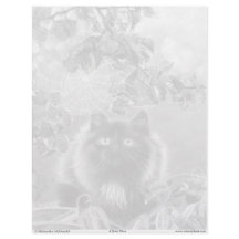 Página de Coloração de Cinza em Cristóvão e Aranha