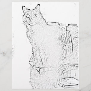 Página de Coloração - Gato com Colheres de Fios