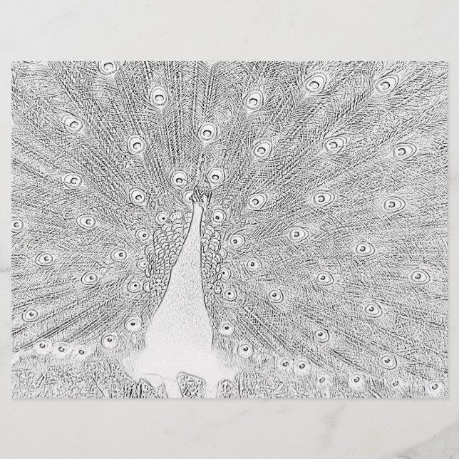 Página de Coloração - Pavão com Cauda Banida (Frente)