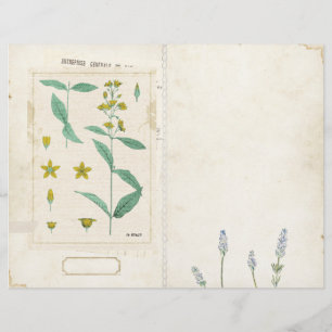 Página de Diário de Lixo Selvagem Frente/Traseir