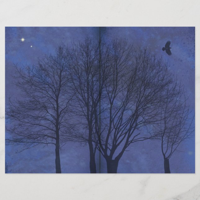 Página de Diário Escuro da Floresta da Meia-Noite (Frente)