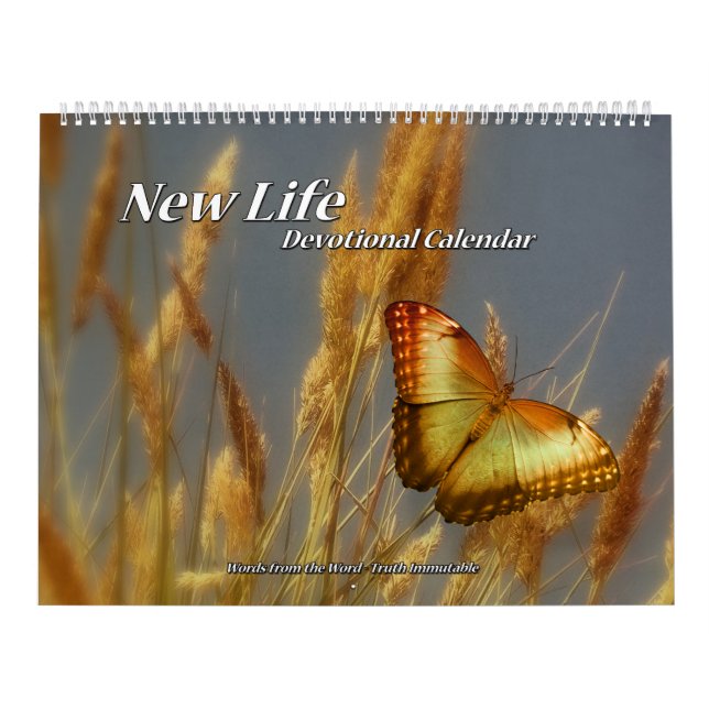 Página devocional do calendário dois da vida nova (Capa)