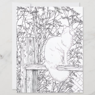 Página para Colorir - Gato no Cerca