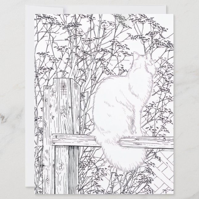 Página para Colorir - Gato no Cerca (Frente)