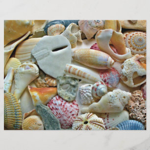Páginas de Álbum de Recortes de Conchas Coloridas 