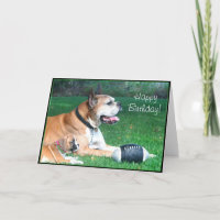 Pai Boxer Feliz de Aniversário e cartão de saudaçã