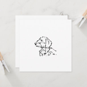 Pai/Mãe de Dachshund de Pelo Cabeludo