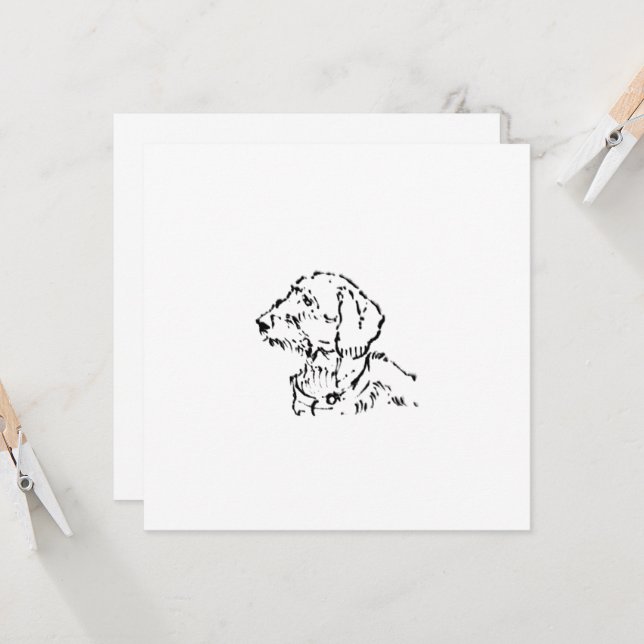Pai/Mãe de Dachshund de Pelo Cabeludo (Frente/Verso In Situ)