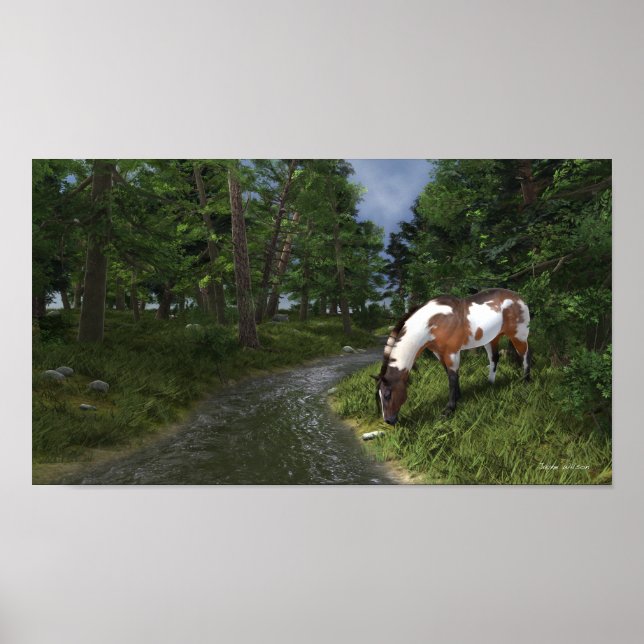 Paint Horse, Poster do Stream Forest (Frente)