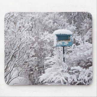 País das maravilhas Mousepad do inverno