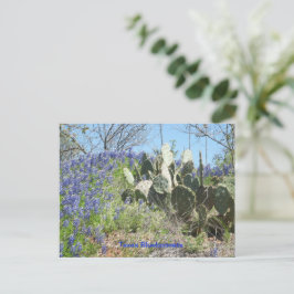 País de Cartão Postal Texas Bluebonnets 