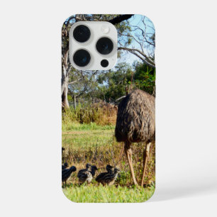 Pais Emu Levando Filhotes Para Caminhar,