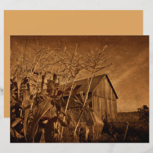 País Russo Vintage Fazenda Marrom Textura