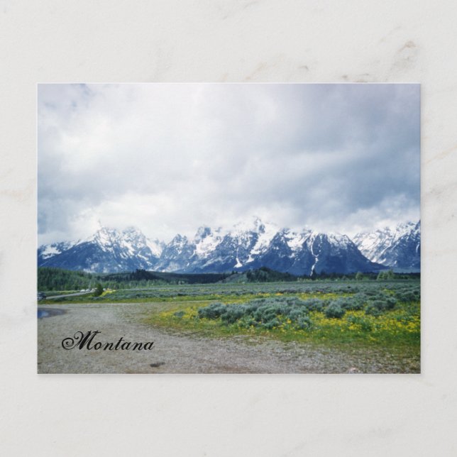 Paisagem Colinas de Montana Belo Cartão Postal de  (Frente)