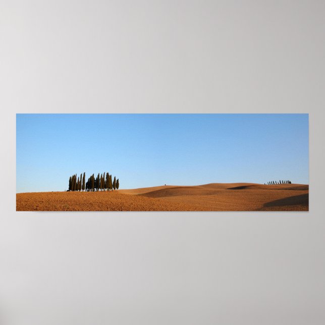 Paisagem da Toscana com ciprestes panorama poster (Frente)