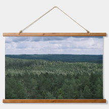 Paisagem de Floresta e Nuvens Foto Acima das Árvor