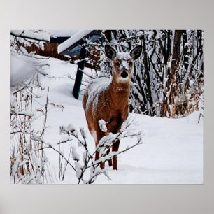 Paisagem de Inverno com Poster de Veado em Papel