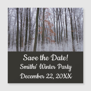 Paisagem de inverno na Floresta de Neve Dusted Fot