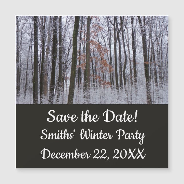 Paisagem de inverno na Floresta de Neve Dusted Fot (Frente)