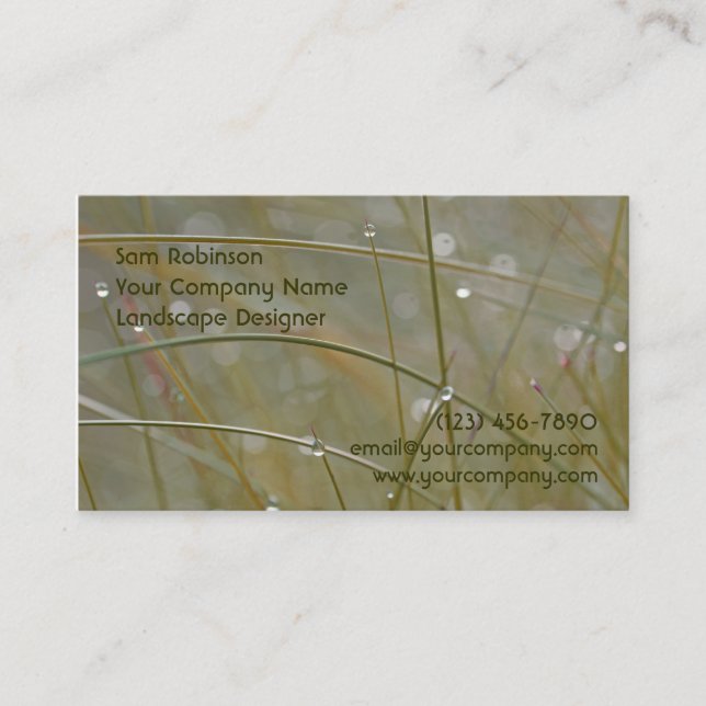 Paisagem Dewy da grama ou cartões de visitas do (Frente)