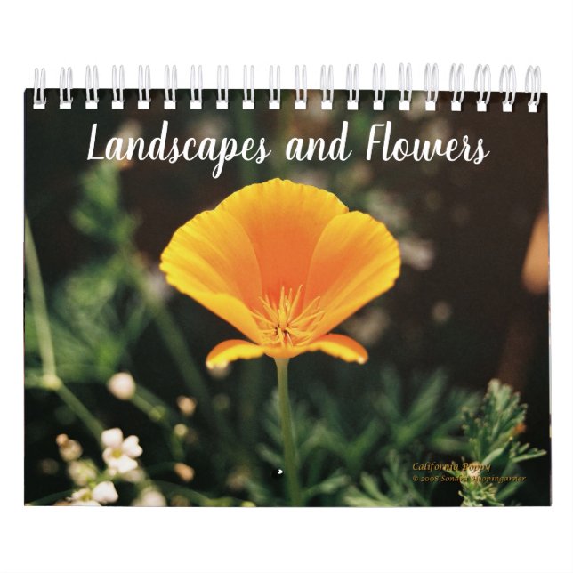 Paisagem e calendário das flores (Capa)