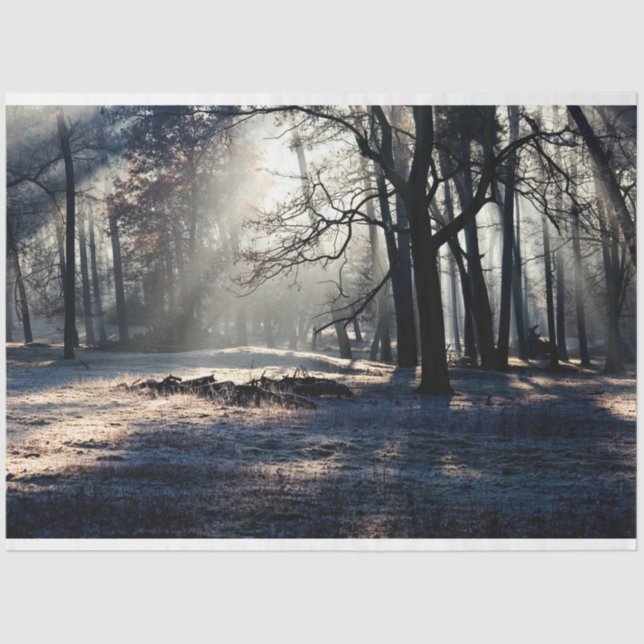 Paisagem Florestal 23 Papel Tecido de Decoupage (Frente )