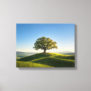 Paisagem Nº 6, Impressão em Tela da Série Paisagen