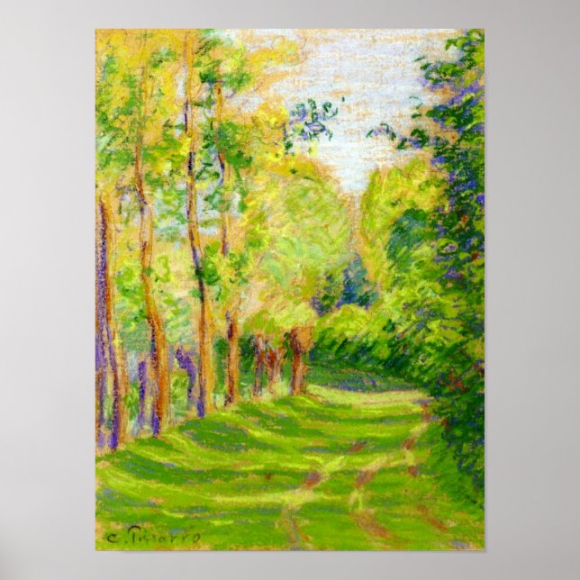 "Paisagem na Rua Charles" - Poster (Frente)