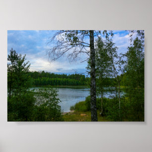 Paisagem natural Floresta da Bielorrússia Poster