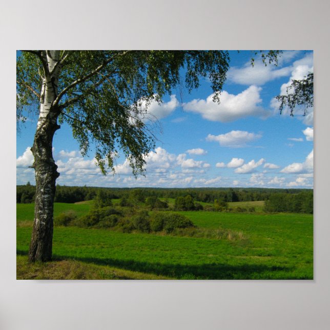 Paisagem natural Meadow Belarus Poster (Frente)