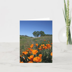 Paisagem Poppy, Cartão de Nota de Vazio