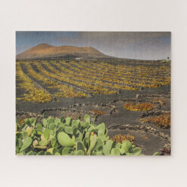 Paisagem Quebra-cabeça de Lanzarote - Vineyard
