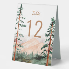 Paisagem Rustic Mountain Pine Trees Fog Meadow
