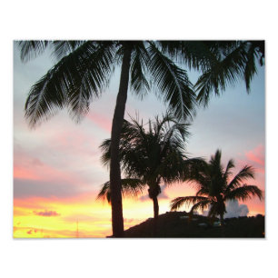 Paisagem Tropical de Palms Sunset Fotografia