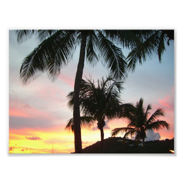 Paisagem Tropical de Palms Sunset Fotografia (Frente)