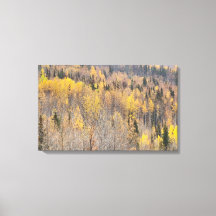 Paisagem Yellow Orange Alaska Autumn Canvas Print